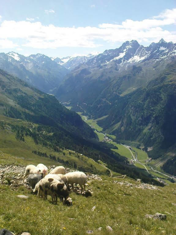 Ferienwohnung Bergspitz Sankt Leonhard im Pitztal Exterior foto